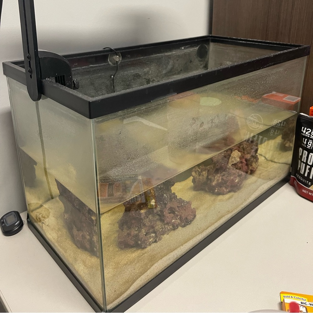 10 gallon + live rock + fiji pink sand